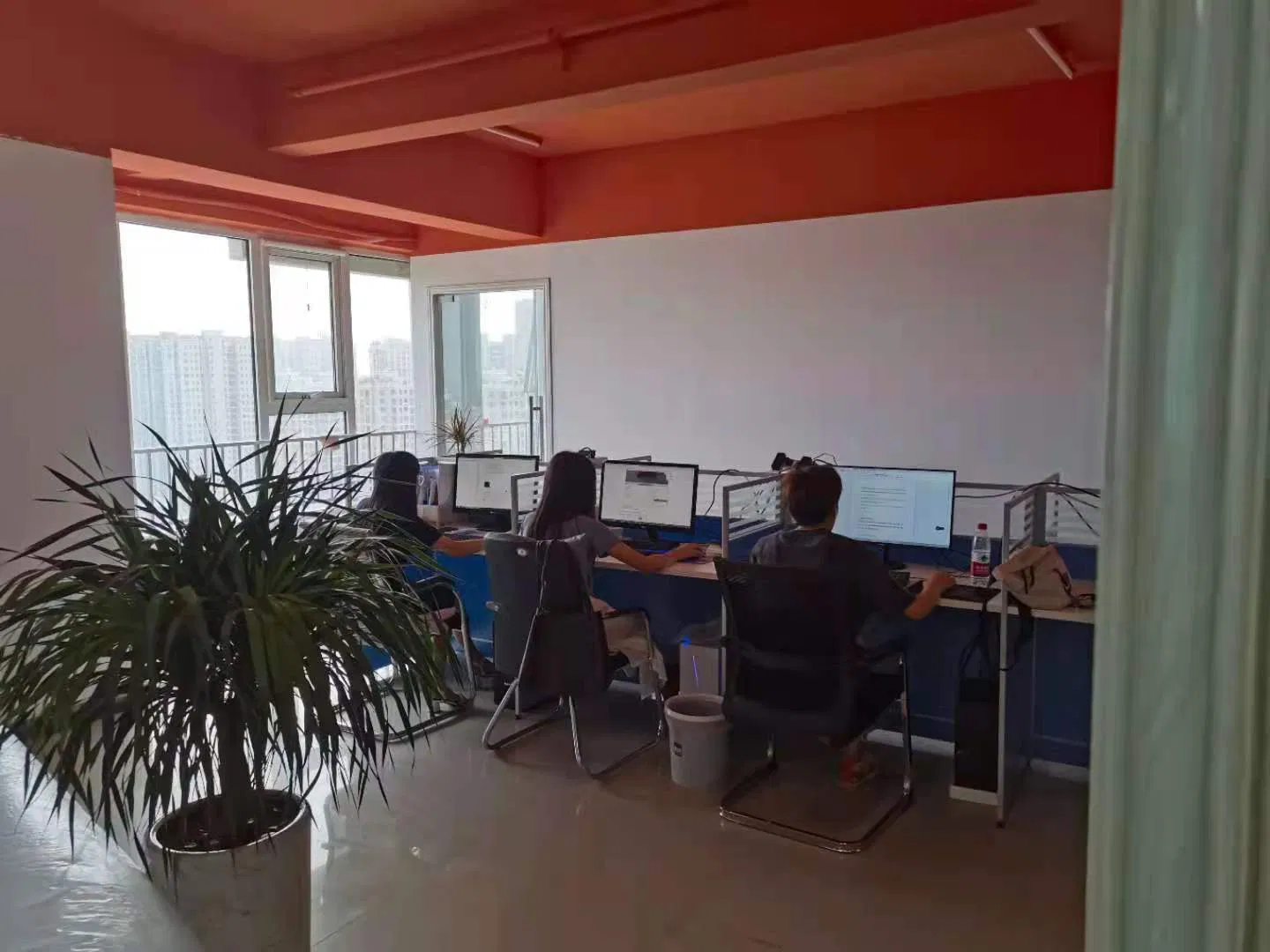 Consulta Inicial